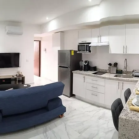 Depto Moderno 1Br Gimnasio Sauna Jacuzzi Y Piscina Rooftop